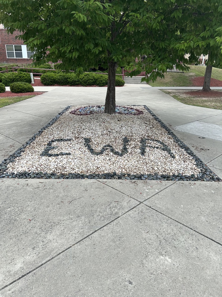 rock garden