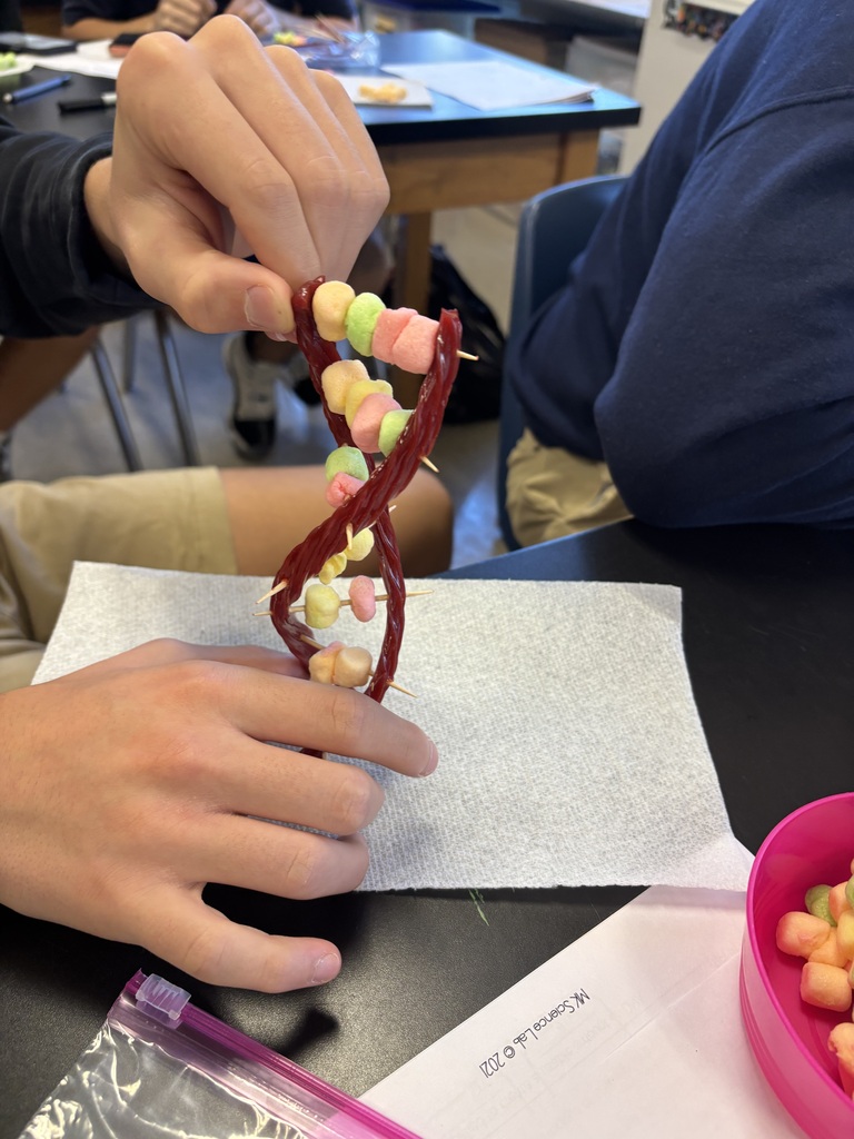 DNA