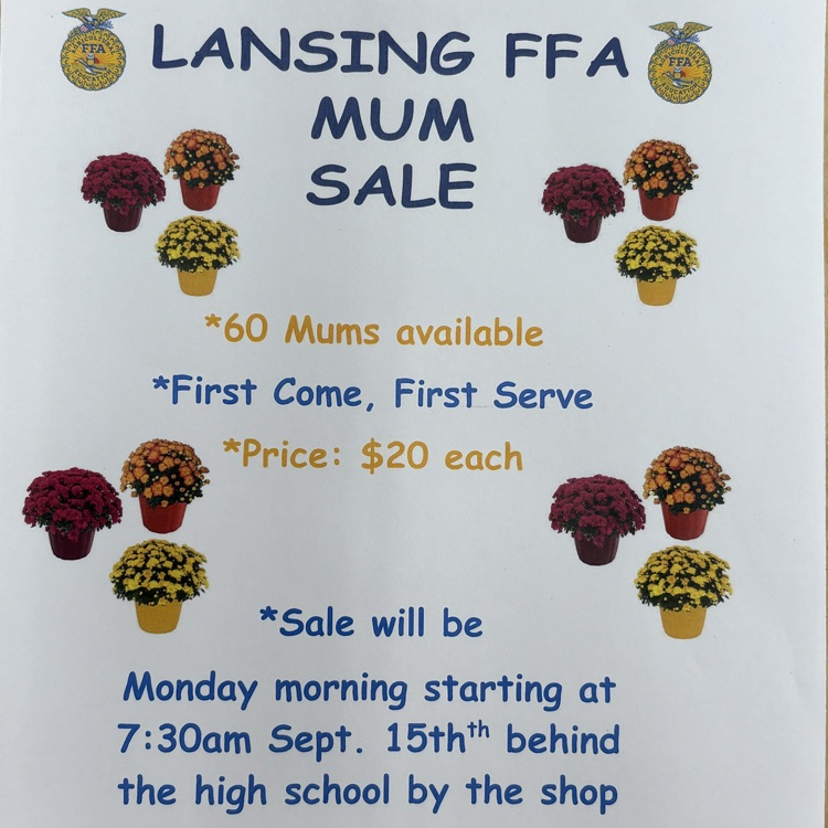 mum flyer