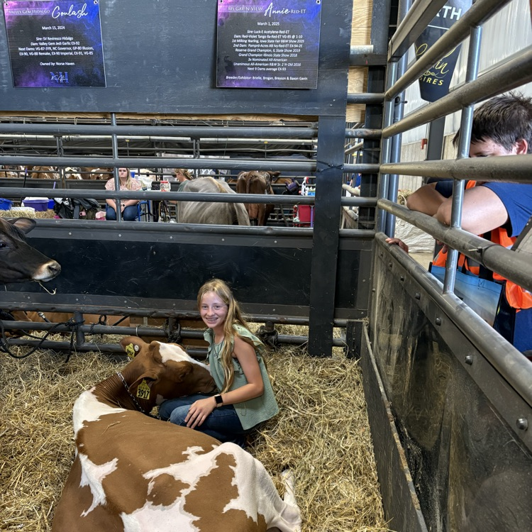 Brielle’s Heifer