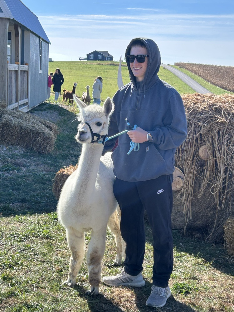 Noah with alpaca Peaches