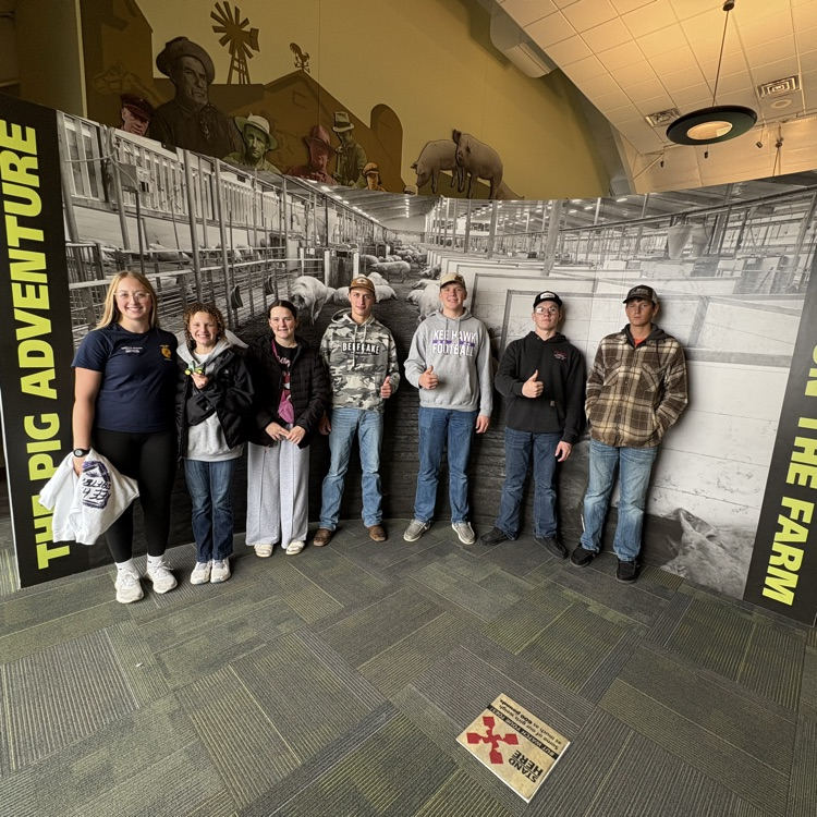 Fair Oaks Pig adventure 