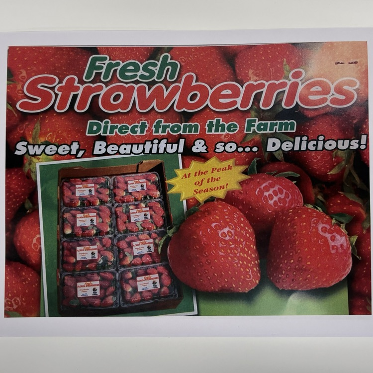 strawberries 