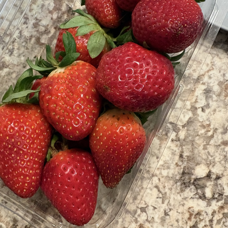 strawberries 