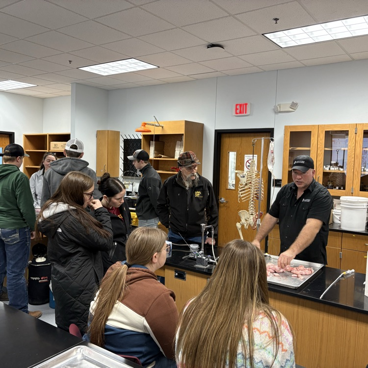 flushing eggs and embryos 