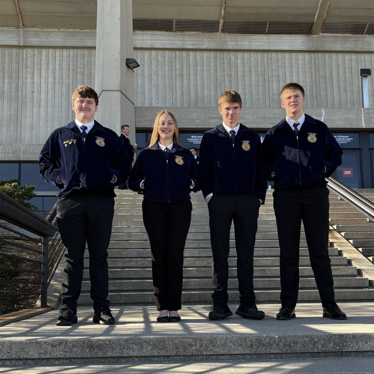 poultry team 