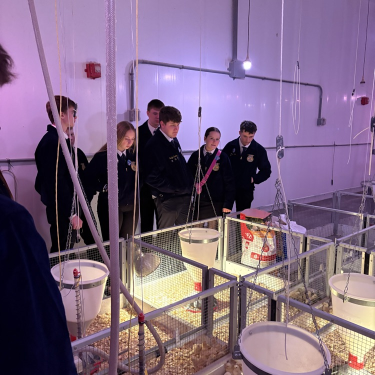 poultry tour