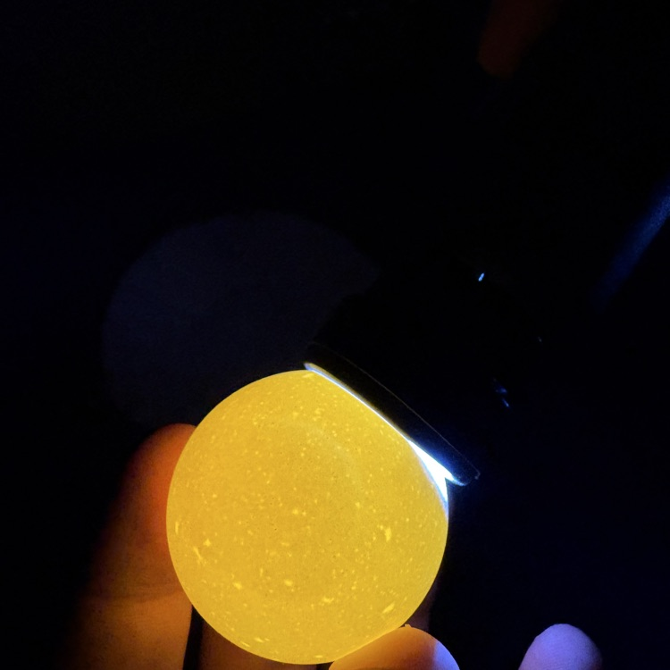 interior eggs