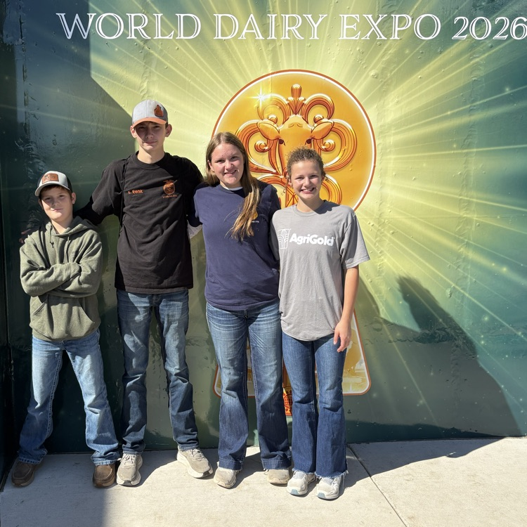 dairy cattle team