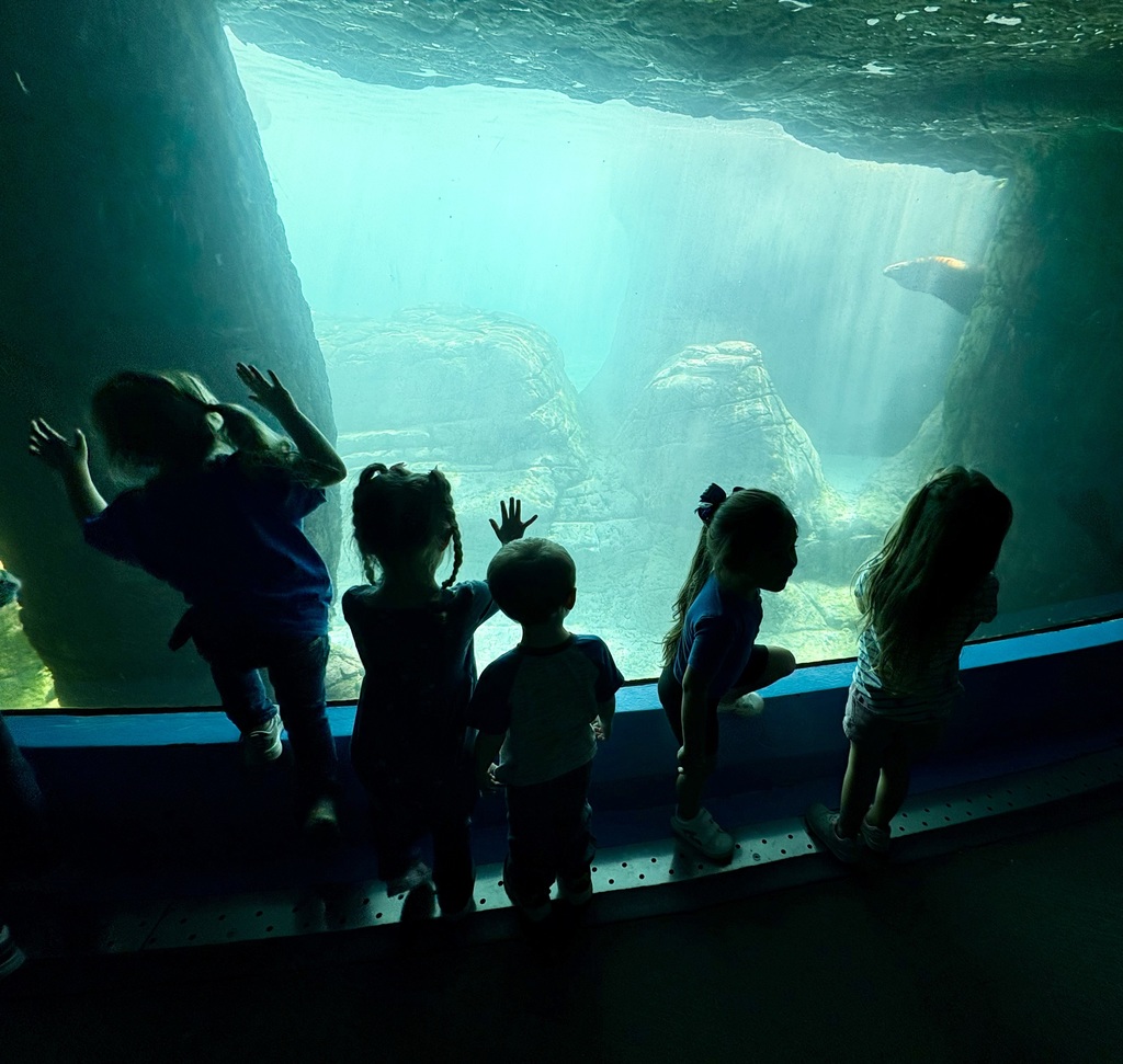 preschool zoo