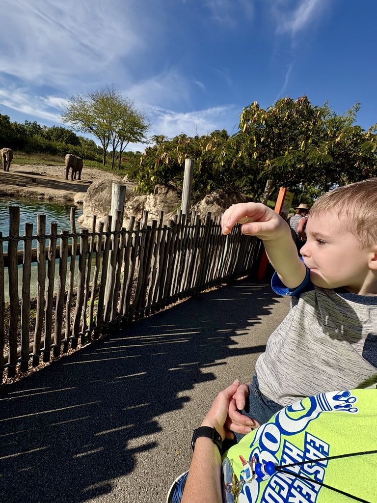 preschool zoo
