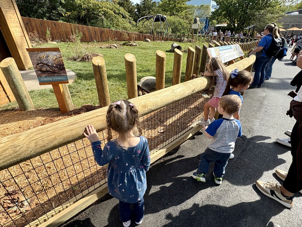 preschool zoo