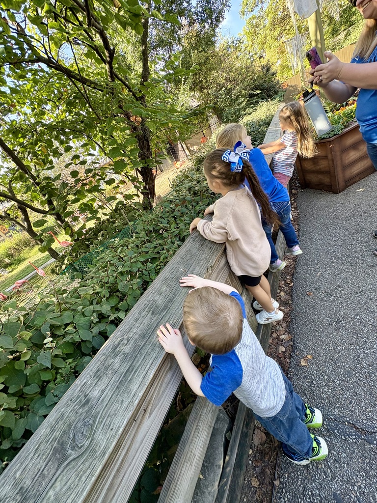 preschool zoo