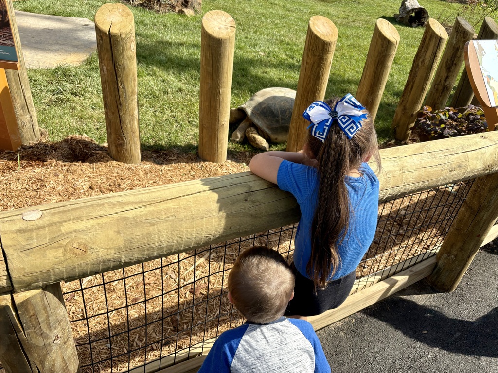 preschool zoo