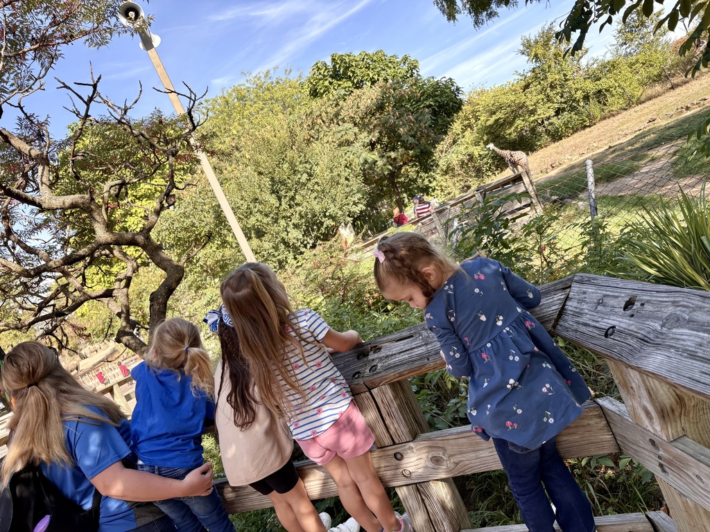 preschool zoo