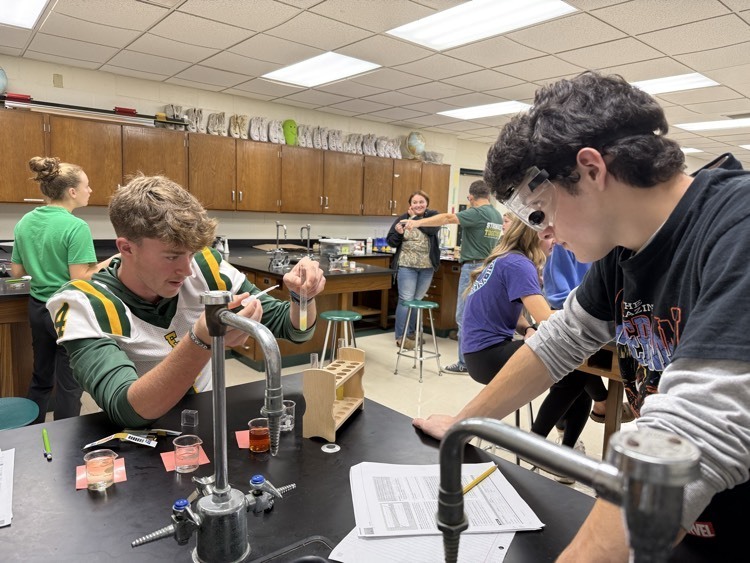 lab
