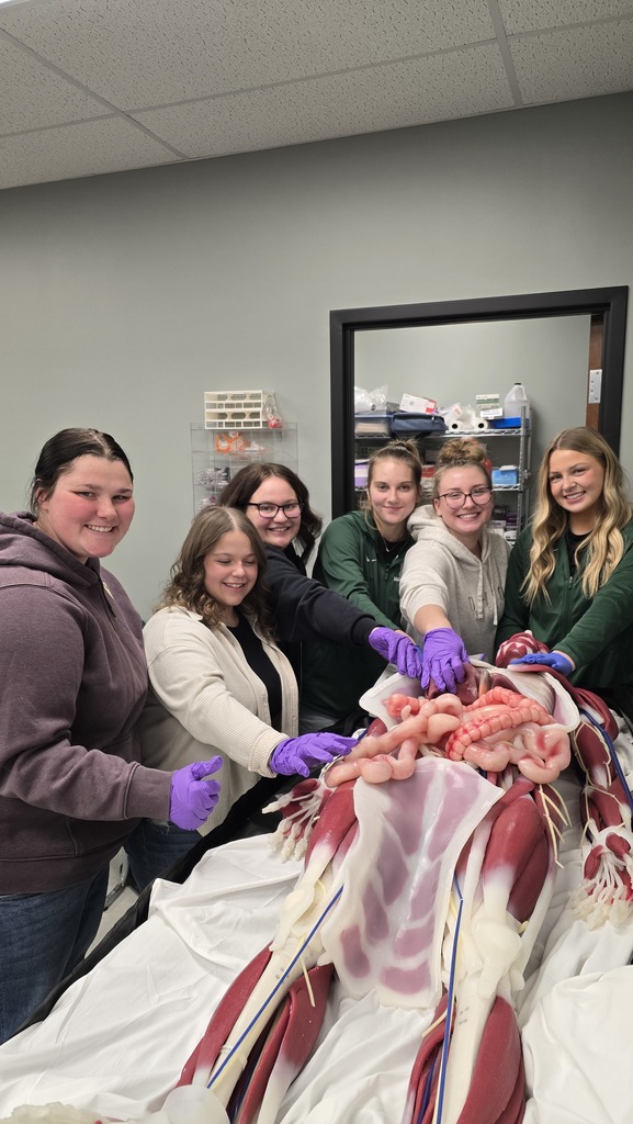 Students learning about medical careers.