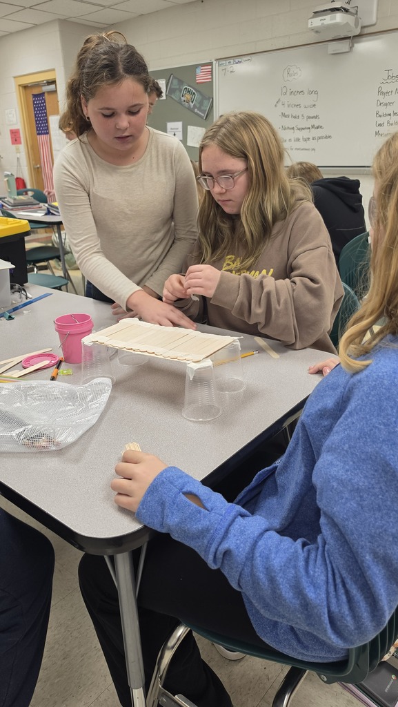 Students Building Bridges 