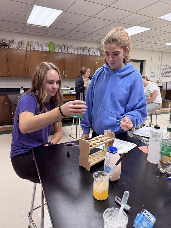 lab