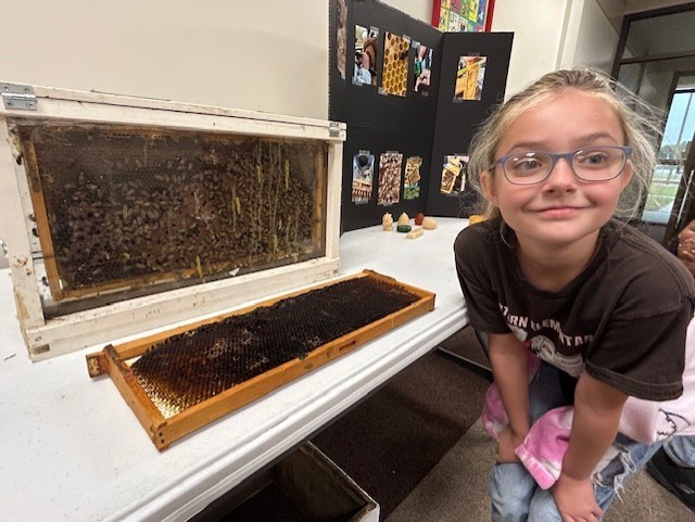 bee 3