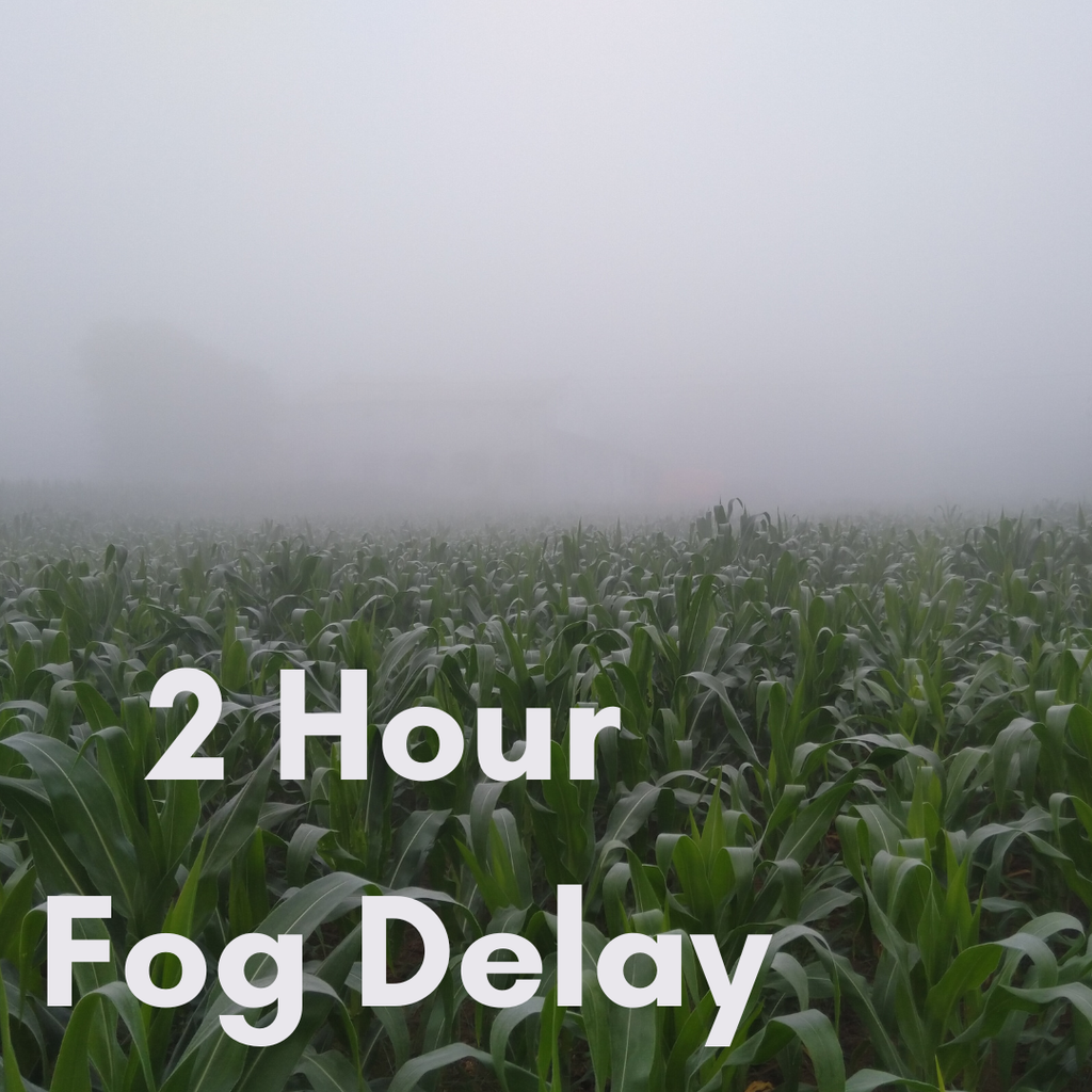 2 hour fog delay