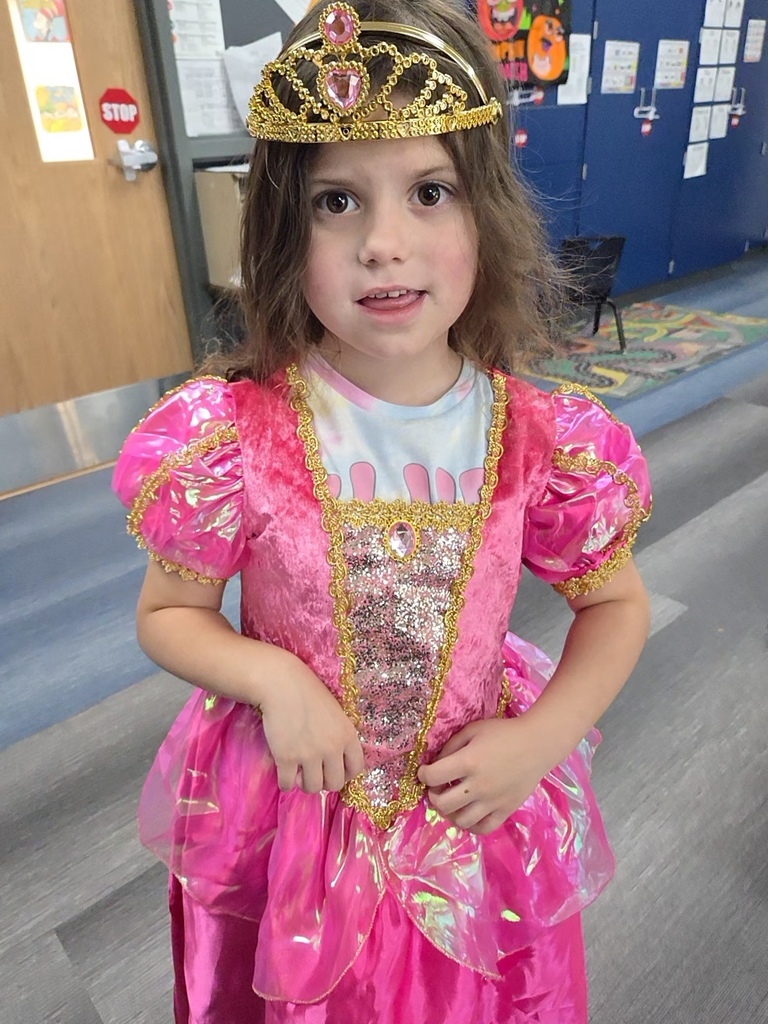 A preschooler poses for the camera in a bright pink princess costume with a crown on her head. 