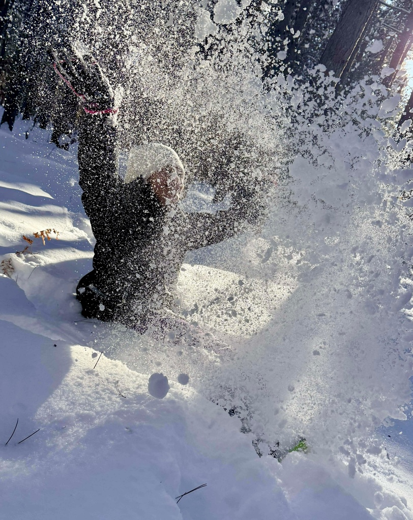 A student in snow gear throws a spray of snow into the air. The sun shines through the trees behind her. 