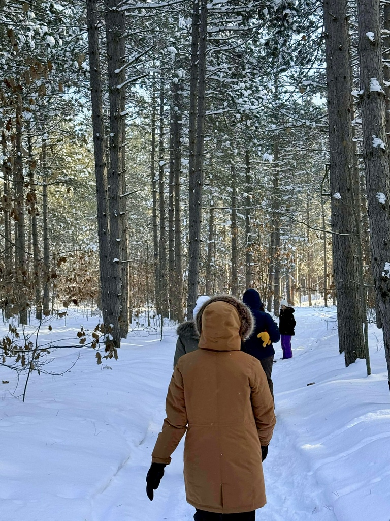 A snowy trail with tall trees on both sides. There is a short line of people in  Winter snow gear walking down the trail away from the camera. 