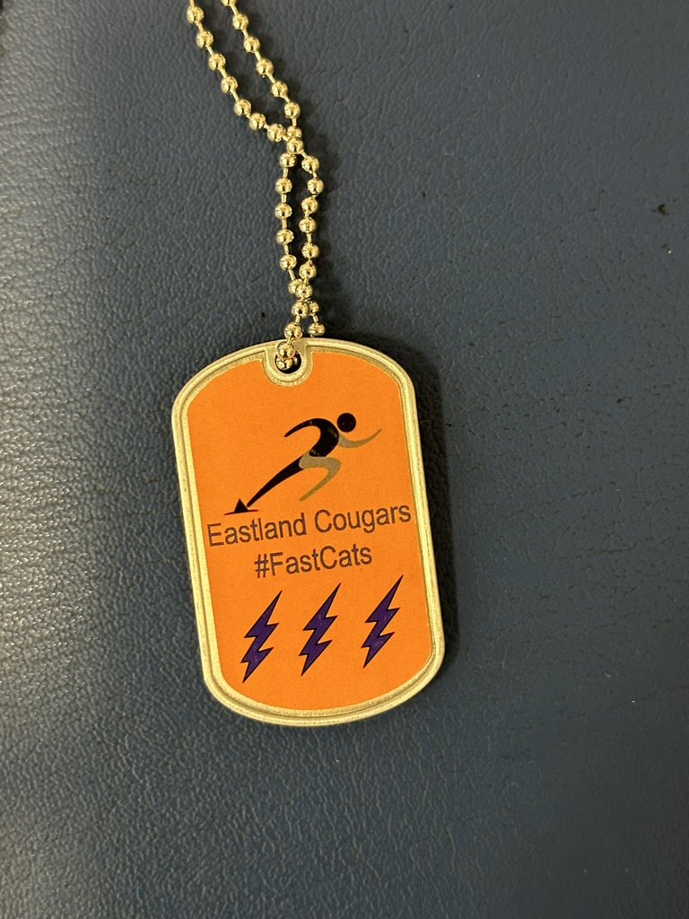 Fast Cat Tag