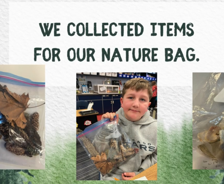 3rd Grade Art and Poetry Project