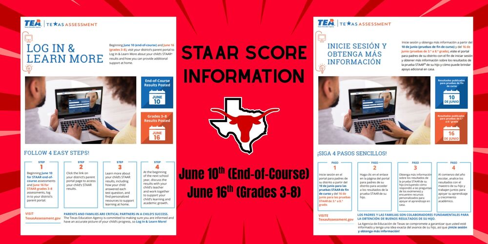 STAAR Score Information