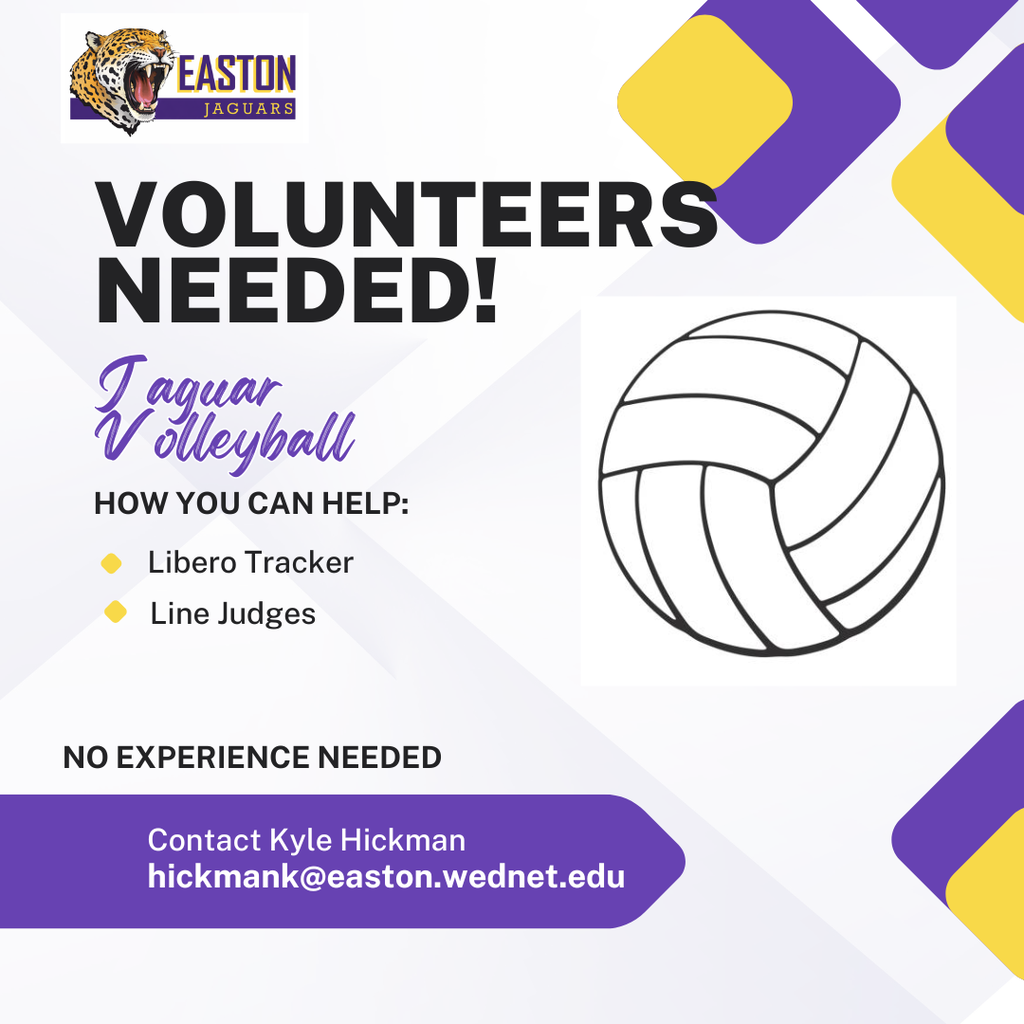 volleyball volunteers