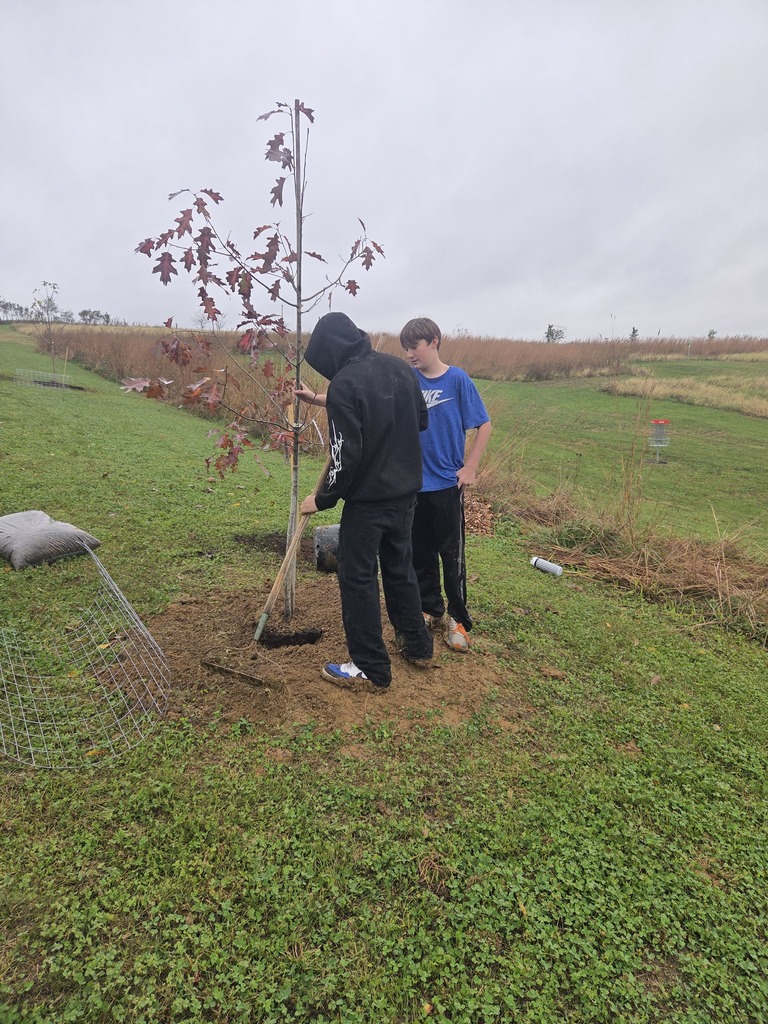 Day of service