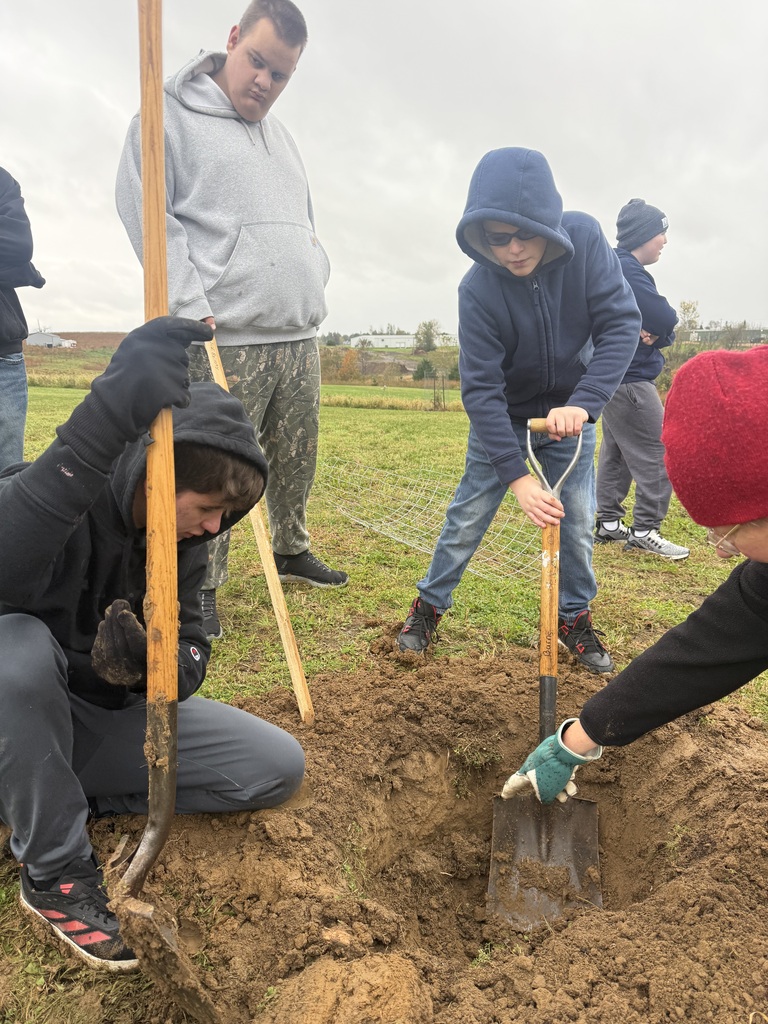 Day of service