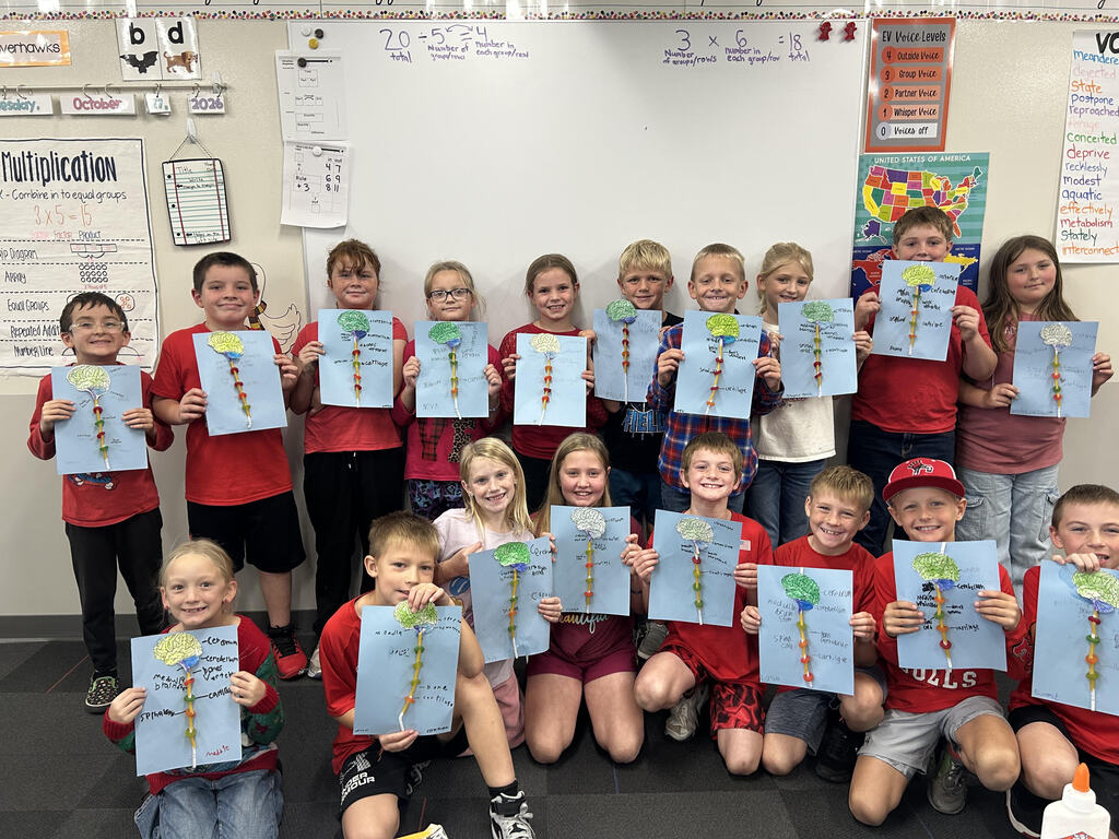 3rd grade has been learning about the human body. Today we made models of the spine and labeled the parts of the brain!