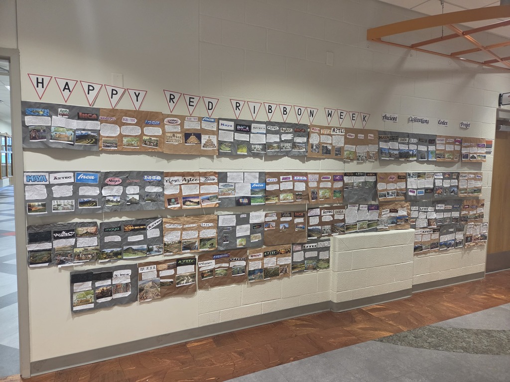 Codex
