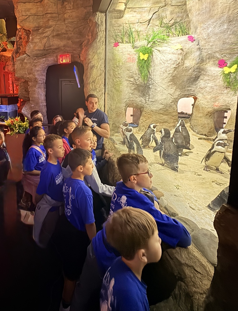 Jenkinson's Aquarium