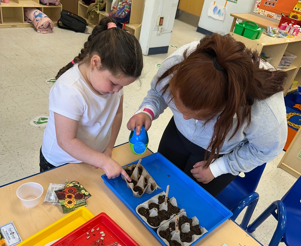 VES Students Plant Flowers