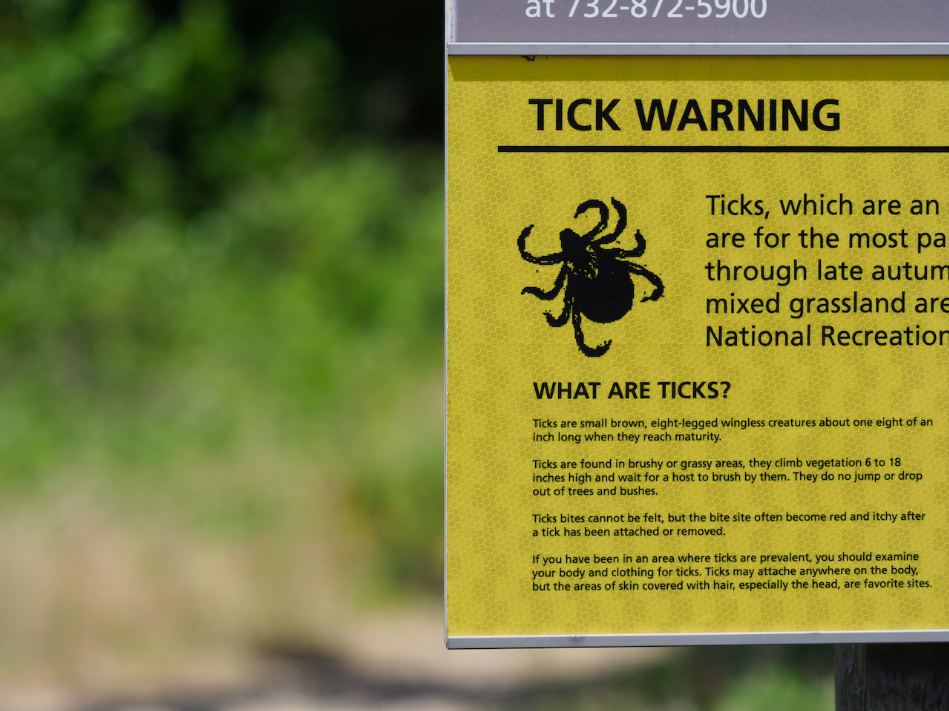 Image of a sign that reads Tick Warning