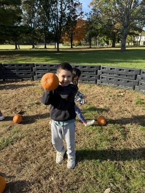 Pumpkin Patch