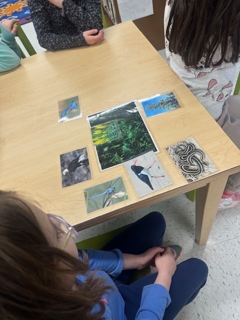 Monmouth County Parks Habitat Presentation