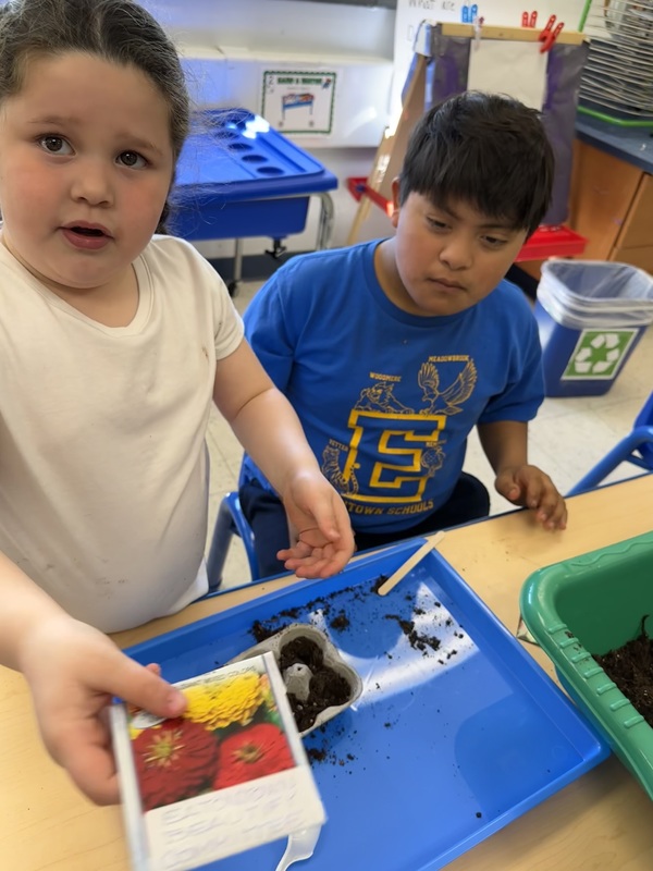 VES Students Plant Flowers