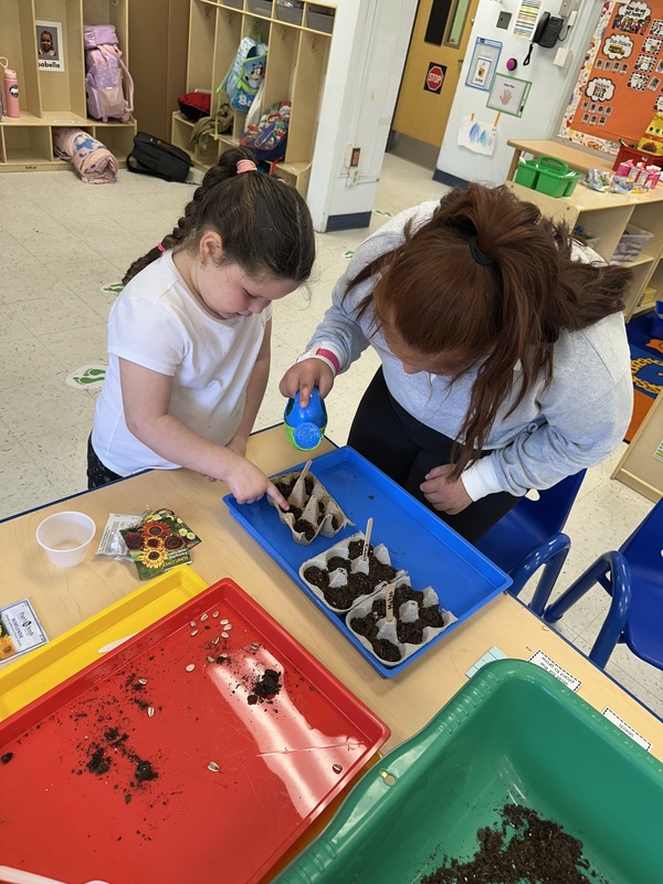 VES Students Plant Flowers