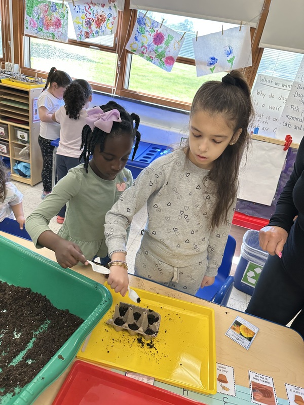 VES Students Plant Flowers