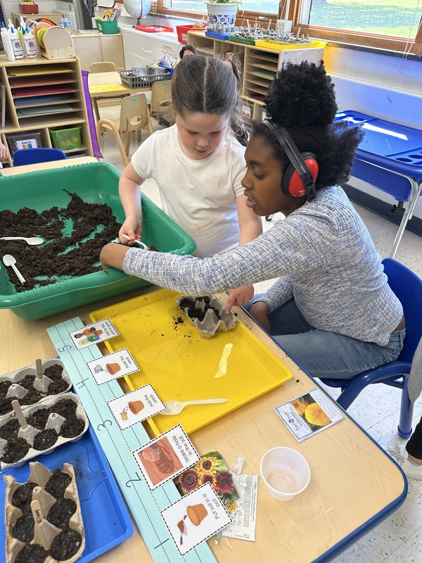 VES Students Plant Flowers