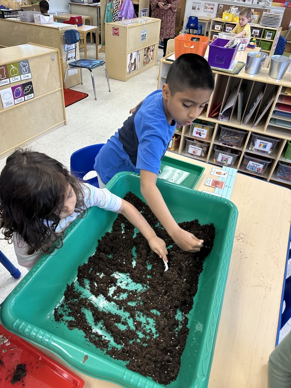 VES Students Plant Flowers