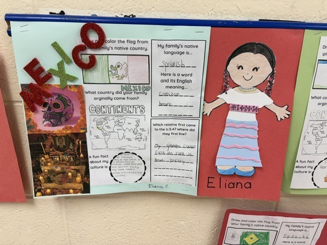 Cultural Doll Project