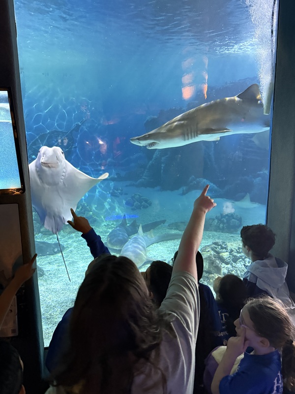 Second Grade Jenkinson's Trip