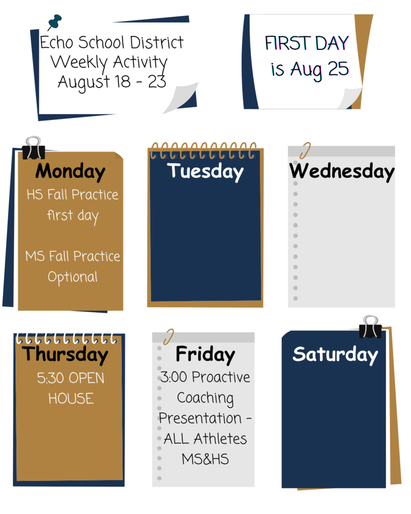 Weekly Activity