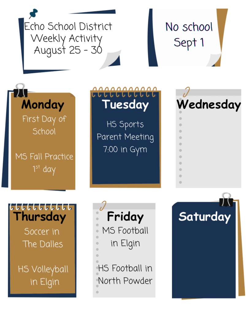 Weekly activity